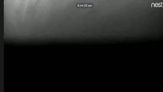Pixie versus Nest Cam IQ INDOOR