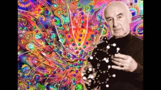 SHOKATA - LSD Revolution
