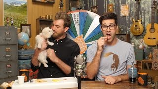 Meet Rhett's New Puppy