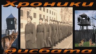 Хроники дисбата