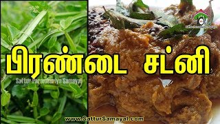 Pirandai Chutney|Pirandai Thuvaiyal|பிரண்டை சட்னி -Sattur Parambariya Samayal