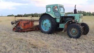Сенокос. Трактор Т40 с жаткой от комбайна. Косим задом на перед)