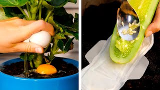 Smart gardening tips and hacks to grow anything anywhere!