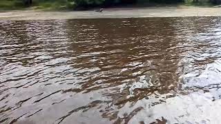 Лодка Аква 2600 мотор 3,5 триммер против течения