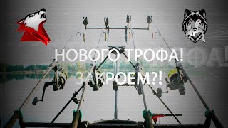 Русская Рыбалка 4! Russian Fishing 4! Сложная Дорога за трофом!)