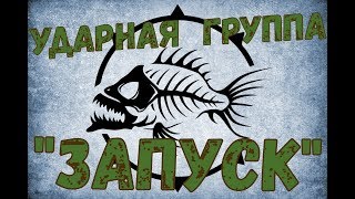 Группа "ЗАПУСК". Заселяем цихлид в аквариум 200 литров.