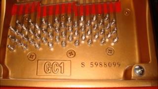 YAMAHA GC1S