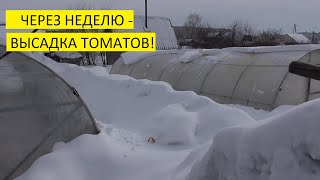 Обзор огорода и погоды 14 марта. Ольга Чернова