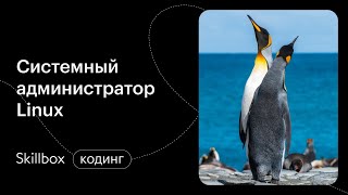 Знакомимся с веб-сервисами Linux. Интенсив по системному администрированию