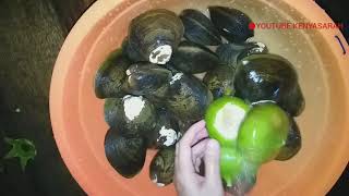 MASAK LOKAN GAES || MASAK KERANG DENGAN BUAH PERANGAT