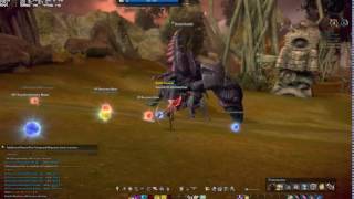 Tera online Valkyrie VS BAM (Intel/ATI)