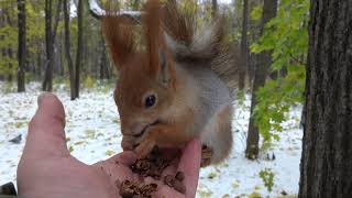 Уговорил Копию поесть / Persuaded Copy to eat