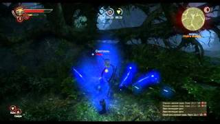 Баги и глюки в The Witcher 2: Assassins of Kings