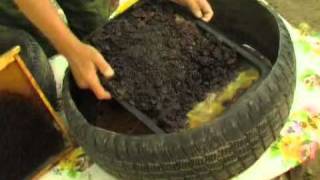 Применение автопокрышек в саду
