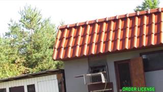 Arkadiusz Stępień Oddział 0219 Rawicz - przylot gołebi