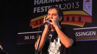 מתחרה בקטגורית בלוז, רוק, פולק, קנטרי, World Harmonica Festival 2013 - Blues