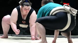 Соревнования по детскому сумо. Competitions in sumo