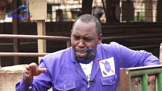Riri wa Murimi : Urimi wa Ngurwe, Kirinyaga