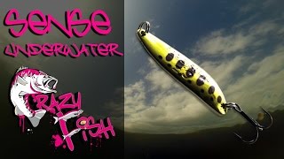 Приманки под водой. Crazy Fish. Sense. Underwater.
