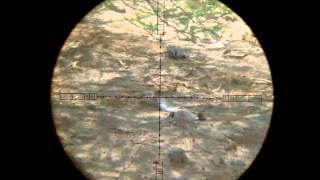 Kalibrgun Cricket Compact 177 cal hunting