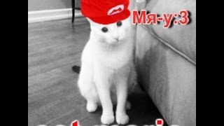 Играем в Cat-Mario:ПРОЙДЕНО!!!!