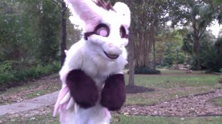 Cherry Blossom the Angel Dragon