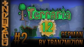 [Gamerz+] Terraria 1.2 Multiplayer CZ Let's play | 2.Díl - Tranzík má roupy! | 1080p