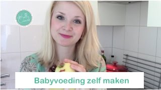Babyvoeding zelf maken 5x recepten          Kelly caresse