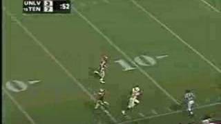 Tennessee Montage