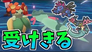 【ポケモン剣盾】ドラパルトを起点にキレイハナで全抜きします【ソード＆シールド】