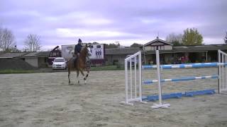 Cheval CSO à vendre : Uragano Massuère - www.lesecuriesracle-parmentier.eu