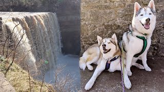 We Found MORE Canadian Waterfalls