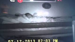 Fairies... Or ORBS?!?