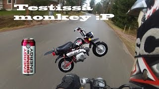 Testissä ! - Honda monkey z50