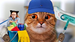 I played with my cat  【ENG SUB】