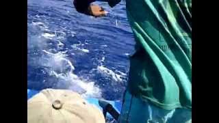 Mancing Tongkol pakai Rawai Tradisional diLaut Pulau Tiga