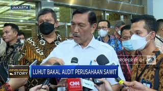 Siap-Siap! Luhut Bakal Audit Perusahaan Sawit