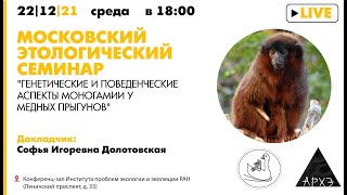 Московский этологический семинар "Генетические и поведенческие аспекты моногамии у медных прыгунов"