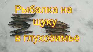 Ловля щуки на жерлицы в глухозимье