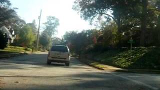 Stop Sign Extravaganza
