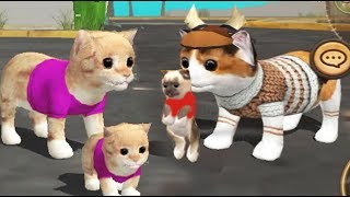 СИМУЛЯТОР Маленького КОТЕНКА #5 Победили ПУМУ беременая кошечка игра мульт видео для детей Валеришка