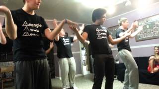 Triangle Twerk Team