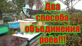 ???2 СПОСОБА ОБЪЕДИНЕНИЯ ПОЗДНИХ РОЁВ