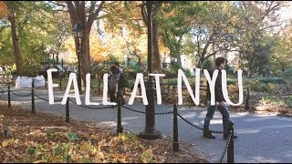 Fall at NYU