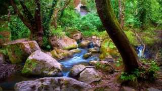 Epic Chillstep Mix 1 Hour Liquid Dubstep Music