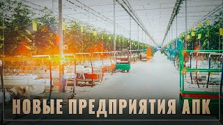 Тихо и без лишнего шума! За месяц в России открыто 7 крупных предприятий пищевой промышленности