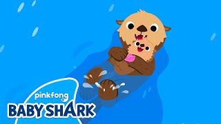 Sea Otter | Sea Animals Song | Baby Shark and Sea Animals 
