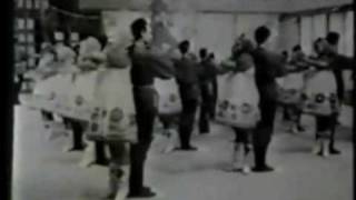 valenki dub project