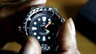 Apeks Professional divers watch