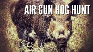 Hog Hunt With Airgun - GAMO Hunter Extreme .25 caliber
